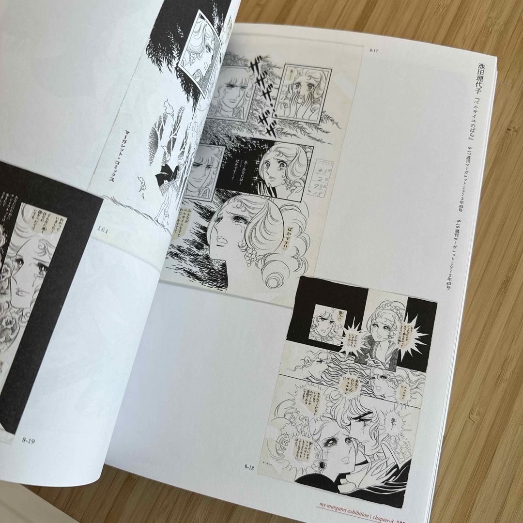 集英社(シュウエイシャ)のわたしのマーガレット展　公式図録 エンタメ/ホビーの漫画(イラスト集/原画集)の商品写真