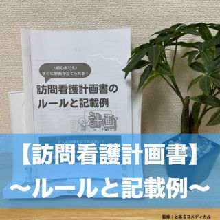 訪問看護計画書のルールと記載例(語学/参考書)