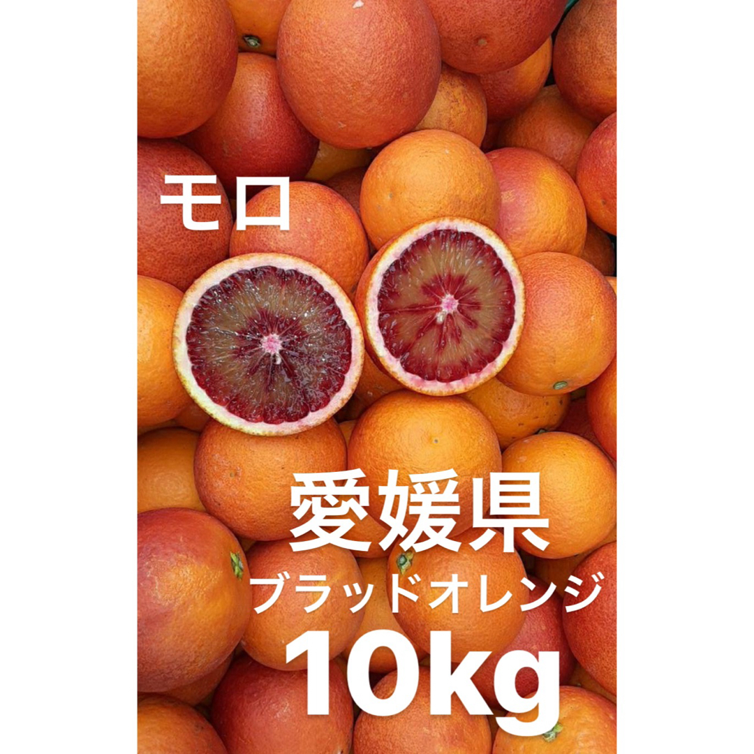 ご了承下さいませ愛媛県産　ブラッドオレンジ　モロ　柑橘　10kg