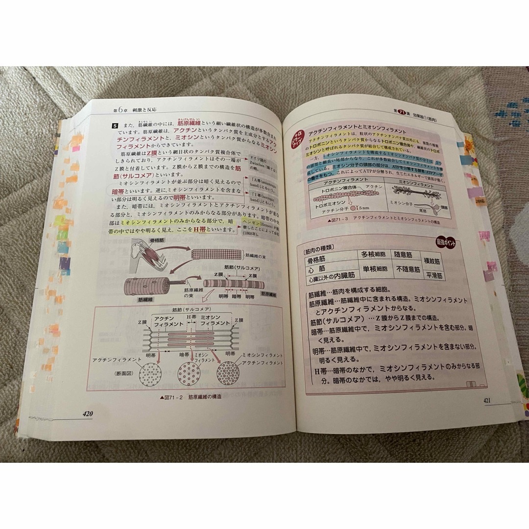 生物 問題集 エンタメ/ホビーの本(語学/参考書)の商品写真