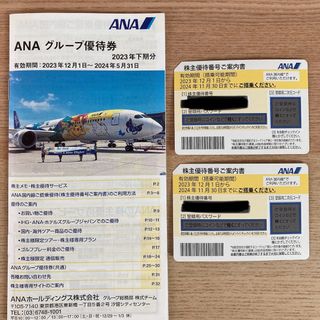 エーエヌエー(ゼンニッポンクウユ)(ANA(全日本空輸))のＡＮＡ株主優待券　2枚(その他)