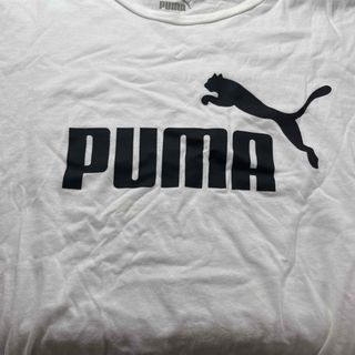 プーマ(PUMA)の服　(Tシャツ(半袖/袖なし))