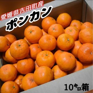 愛媛県産★農家直送★ポンカン 家庭用10キロ(フルーツ)