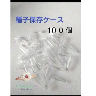 種子 花粉 保存容器 キャップ付き 100個 エケベリア リトープス(その他)