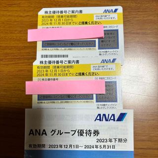 エーエヌエー(ゼンニッポンクウユ)(ANA(全日本空輸))のANA株式優待券(その他)