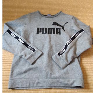 プーマ(PUMA)の男児トレーナー　PUMA160(Tシャツ/カットソー)