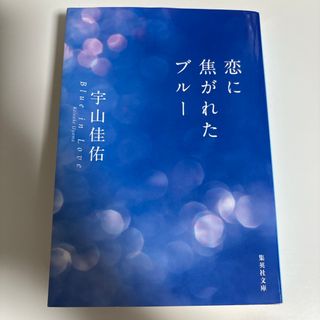 恋に焦がれたブルー(文学/小説)