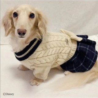 【新品】Disney スクール風ワンピース ドッグウェア 犬服