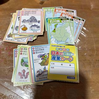 中古⭐︎小学5年　日本の地理産業カード　クイズ(知育玩具)