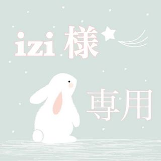 *○【 izi様専用 】○*(旅行用品)