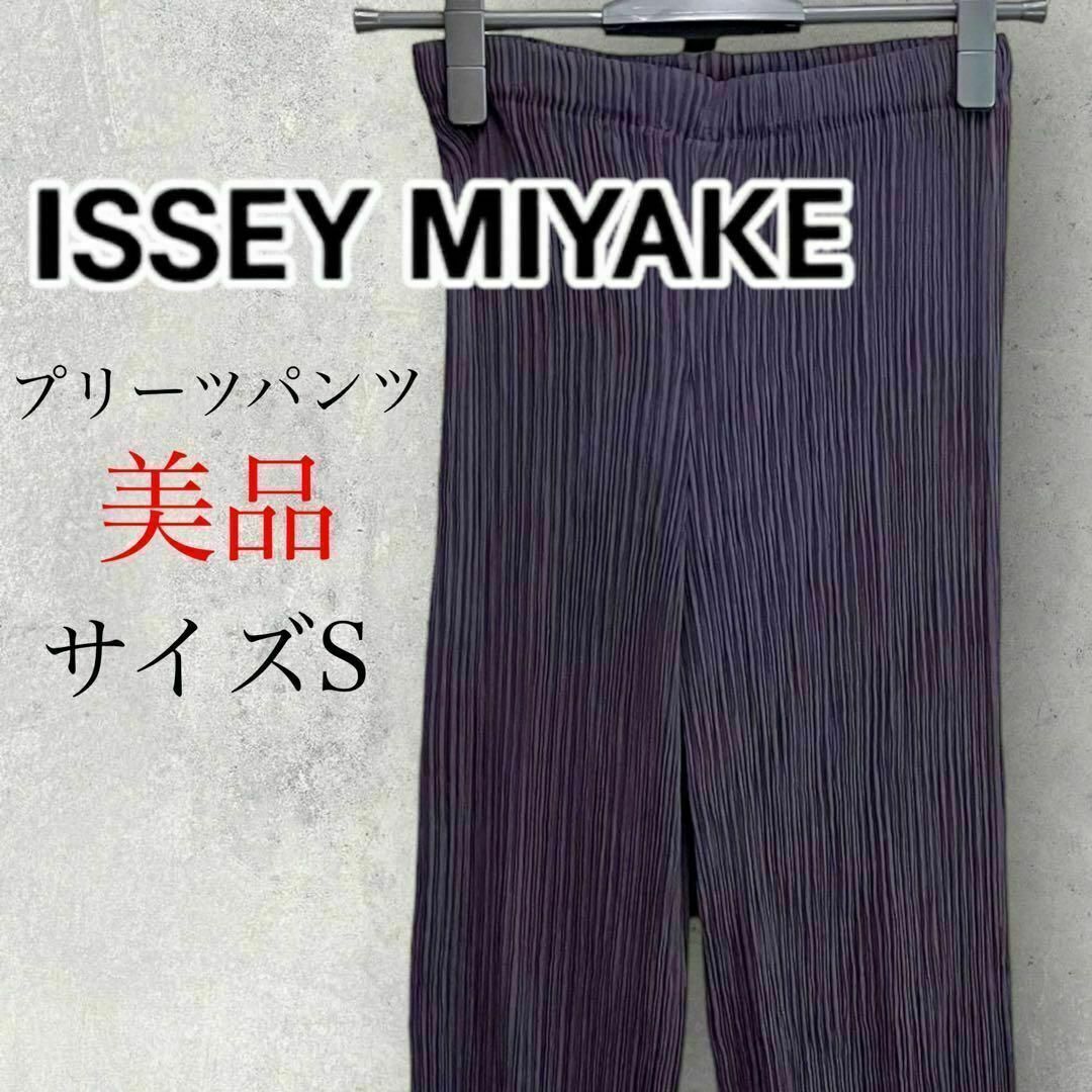 ISSEY MIYAKE - 【美品】ISSEY MIYAKE イッセイミヤケ プリーツパンツ ...