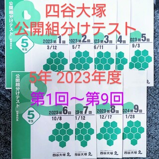 【2023年度最新版】四谷大塚公開組分けテスト5年生(語学/参考書)