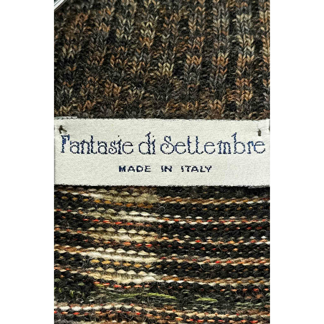 Made in ITALY Fantasie di Settembre knit vest ファンタジーセプテンバー ニットベスト フルジップ ブラウン系 サイズ48 ヴィンテージ 6 メンズのトップス(ベスト)の商品写真
