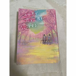 この世界で君と2度目の恋をする(文学/小説)