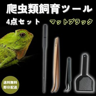 爬虫飼育4点set【黒】 ピンセット／スプーン 両生類 レオパ ヒョウモントカゲ(爬虫類/両生類用品)