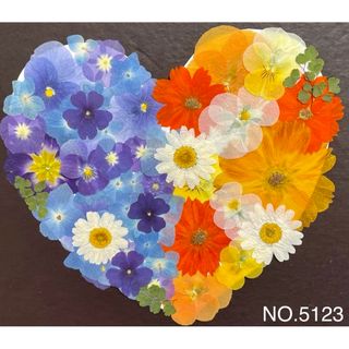 新作☆可愛い押し花素材☆花材ハンドメイド(各種パーツ)