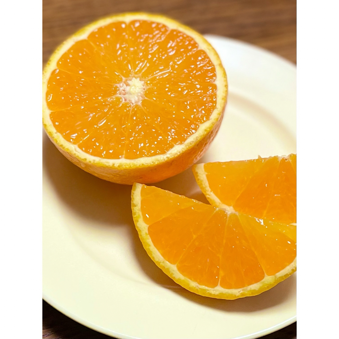 瀬戸田産　ネーブル　オレンジ　5kg 食品/飲料/酒の食品(フルーツ)の商品写真