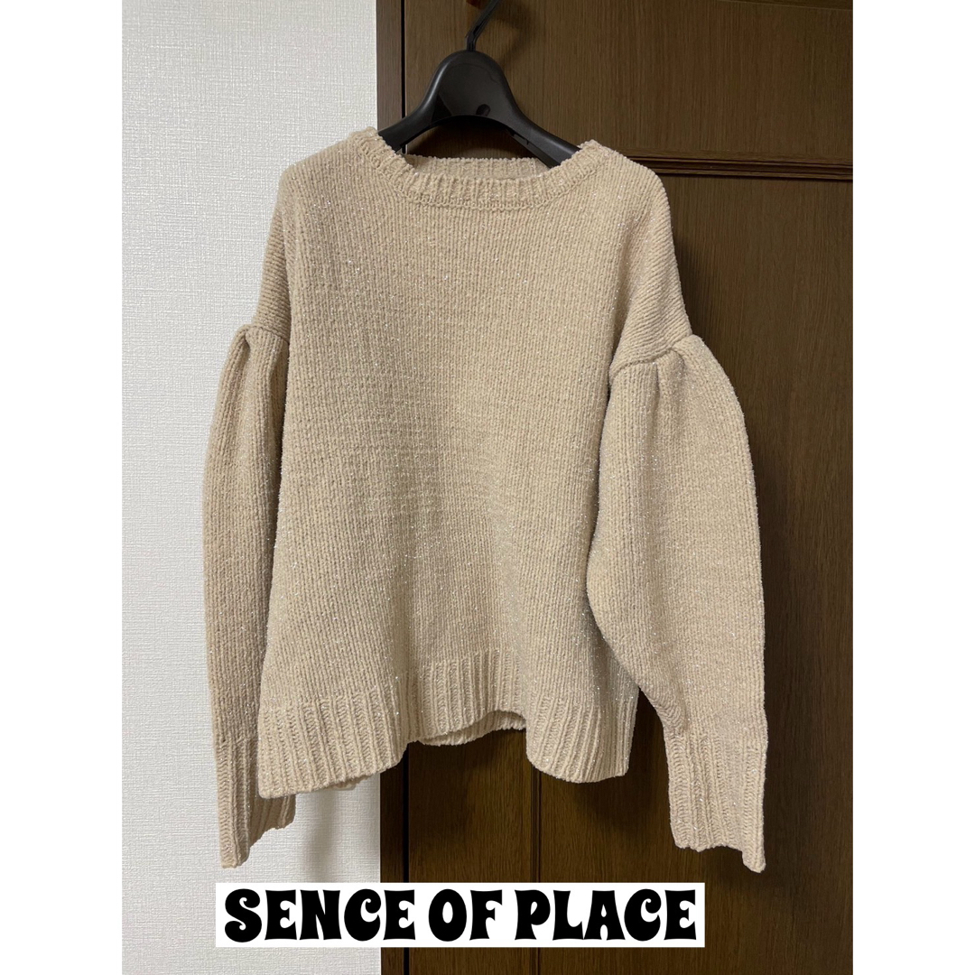 SENSE OF PLACE by URBAN RESEARCH(センスオブプレイスバイアーバンリサーチ)のSENCE OF PLACE ラメニット レディースのトップス(ニット/セーター)の商品写真