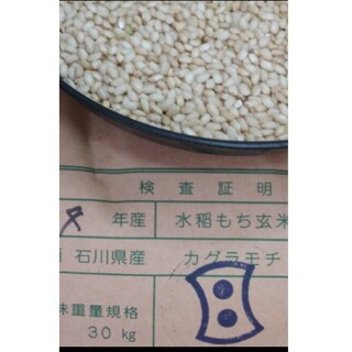 もち米　玄米１０kg  4年産　２等米(米/穀物)