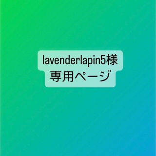 【lavenderlapin5様 専用】わんぷり 巾着(外出用品)