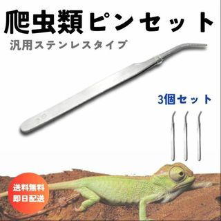 爬虫類／両生類ピンセットシルバー　3点セット 汎用10㎝　レオパ ヒョウモン(爬虫類/両生類用品)