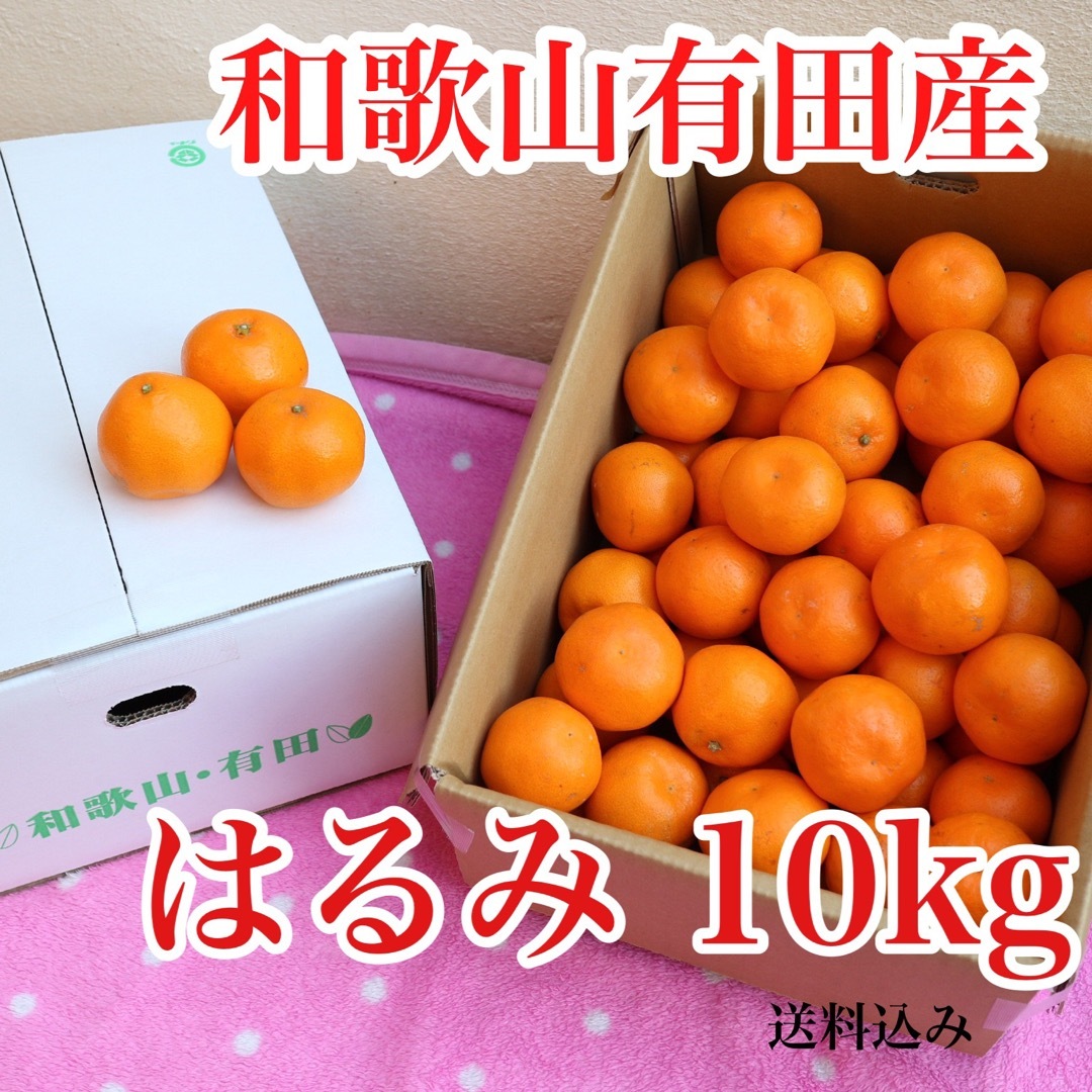 和歌山有田産　はるみ 10kg 送料込み 食品/飲料/酒の食品(フルーツ)の商品写真
