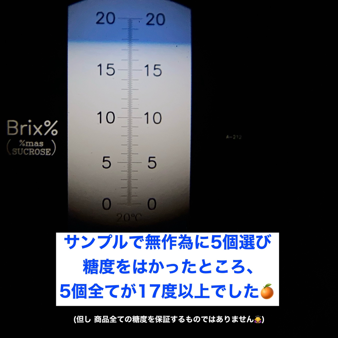 和歌山有田産　はるみ　5kg　送料込み 食品/飲料/酒の食品(フルーツ)の商品写真