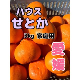 ハウスせとか4キロ（大きさ形規格外）やよちゅ様専用(フルーツ)