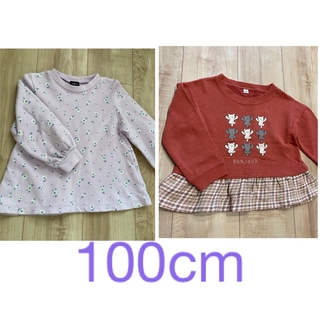 裏毛トレーナー100cm ２枚セット(Tシャツ/カットソー)