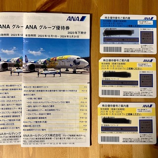 エーエヌエー(ゼンニッポンクウユ)(ANA(全日本空輸))のANA株主優待(その他)