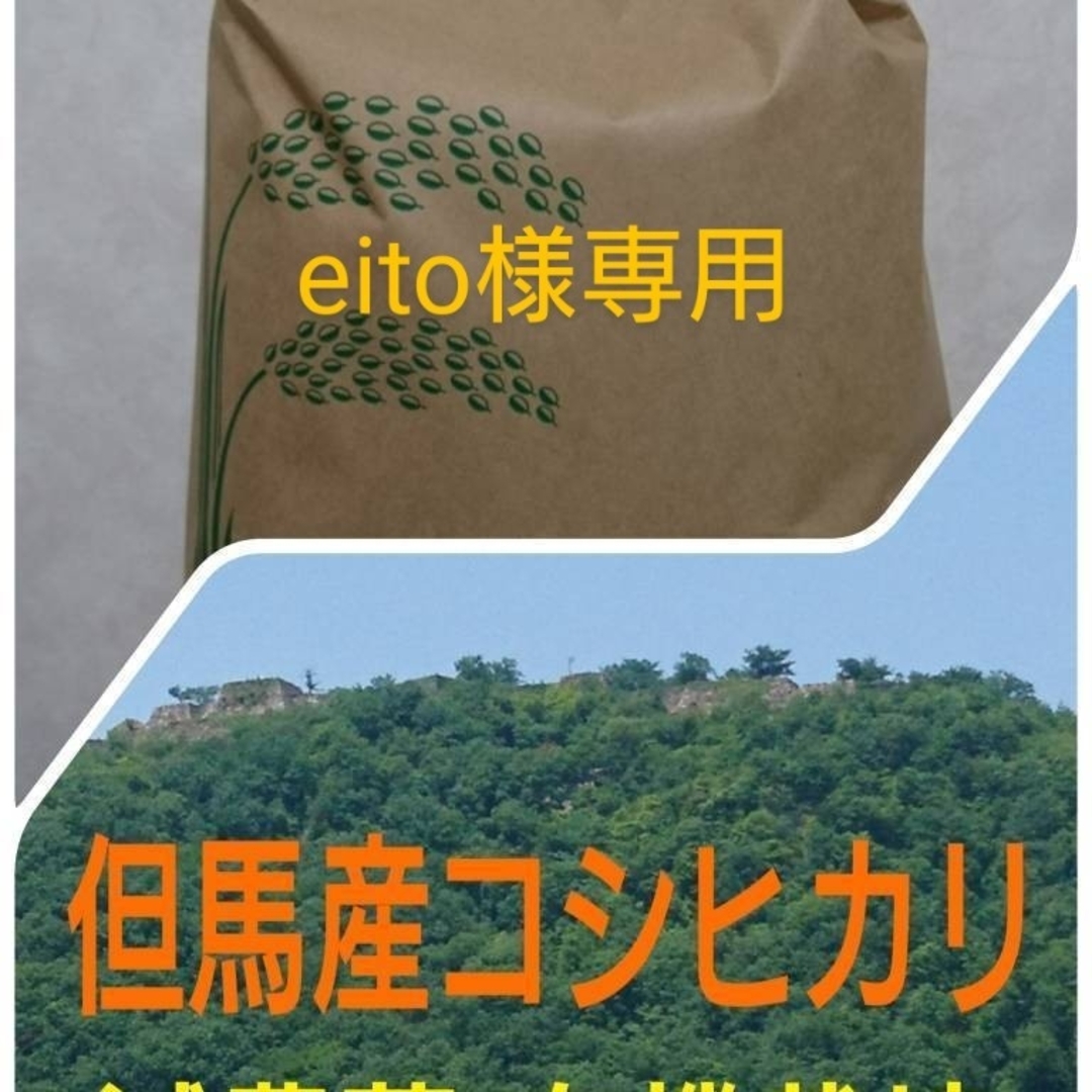 eito様専用 食品/飲料/酒の食品(米/穀物)の商品写真