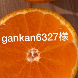 gankan6327様専用　和歌山県産石地みかん　青秀S5kg(フルーツ)