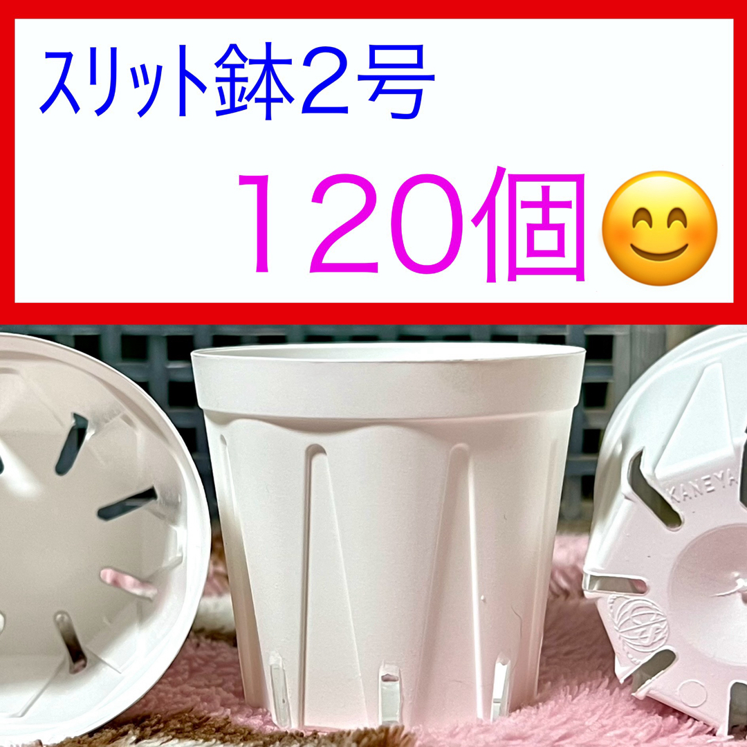 H⑧  ｽﾘｯﾄ鉢【2号】120個ｾｯﾄ★ﾎﾜｲﾄ ハンドメイドのフラワー/ガーデン(プランター)の商品写真