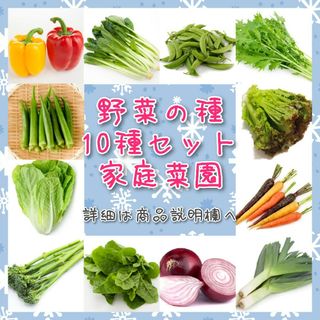 野菜の種 オカヒジキ パクチー 芽キャベツ とろねぎ ちぢみほうれん草 家庭菜園(野菜)