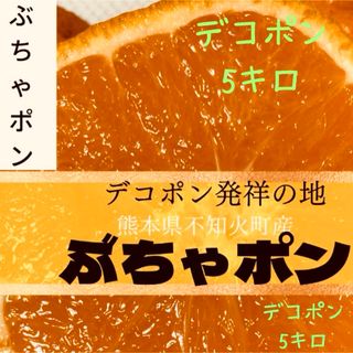 【新登場】デコポン発祥の地！熊本　本場の不知火町 『ぶちゃポン』５Kg みかん(フルーツ)