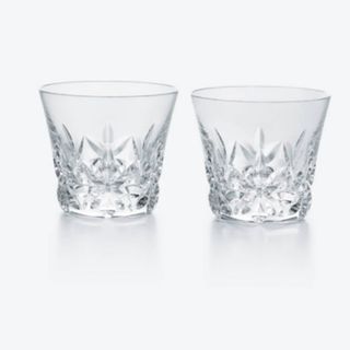 【75％OFF】Baccarat バカラ ２客 エキノックスタンブラー　グラス新品