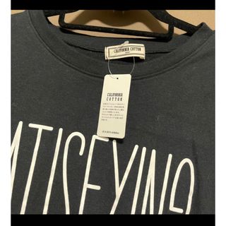 フェリシモ(FELISSIMO)のFELISSIMO IEDIT  CALIFORNIA COTTONトップス(Tシャツ(長袖/七分))