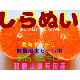 不知火しらぬい◆訳あり数量限定◆箱込み五キロ◆デコポン(フルーツ)