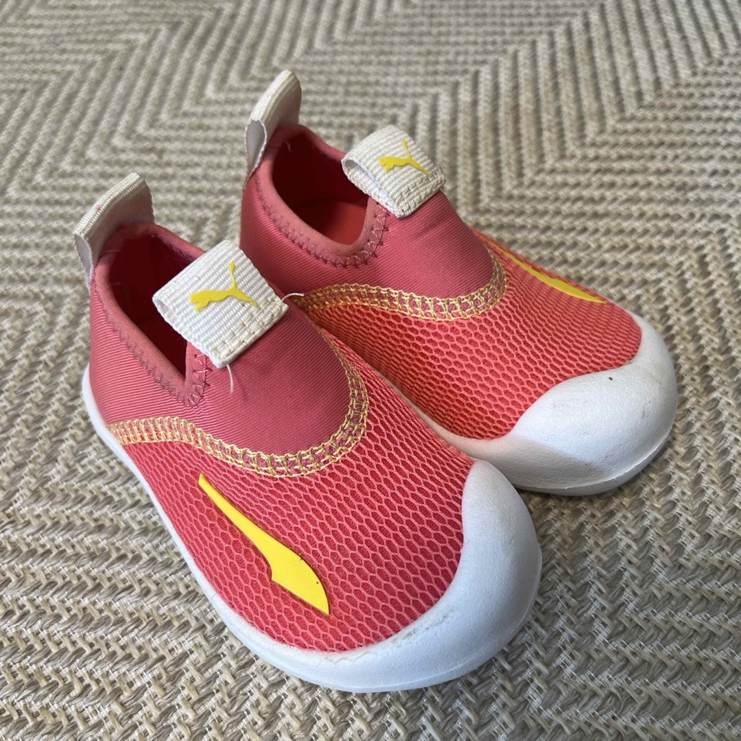 PUMA(プーマ)のPUMA キッズスニーカー　12 キッズ/ベビー/マタニティのキッズ靴/シューズ(15cm~)(スニーカー)の商品写真