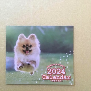 【新品未使用】犬卓上カレンダー 2024(カレンダー/スケジュール)