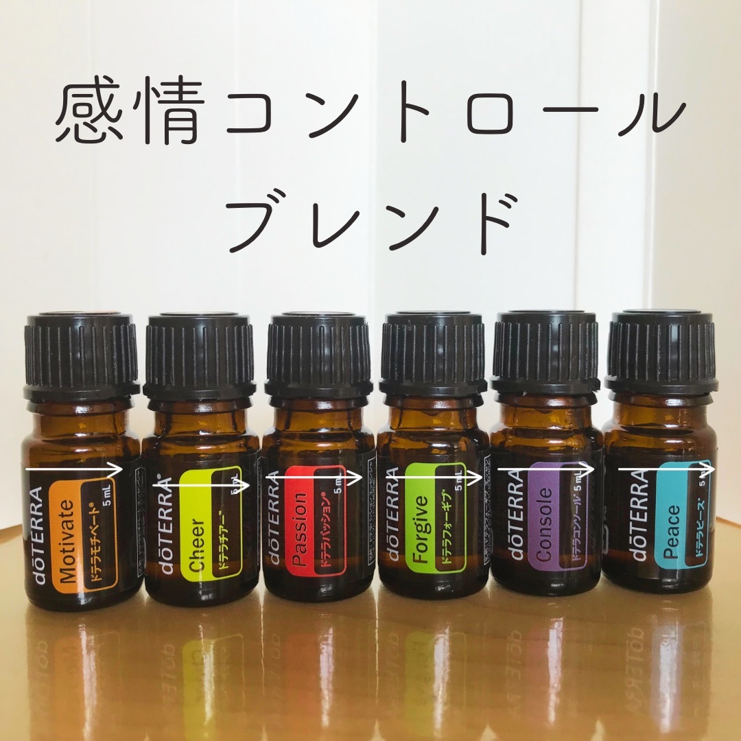 ドテラ doTERRA アロマティクス アロマセラピーキット 感情のオイル ドテラ doTERRA アロマティクス アロマセラピーキット 感情のオイル