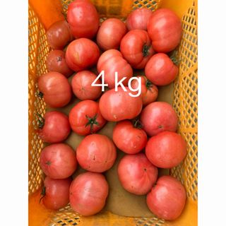 規格外トマト４kg(野菜)