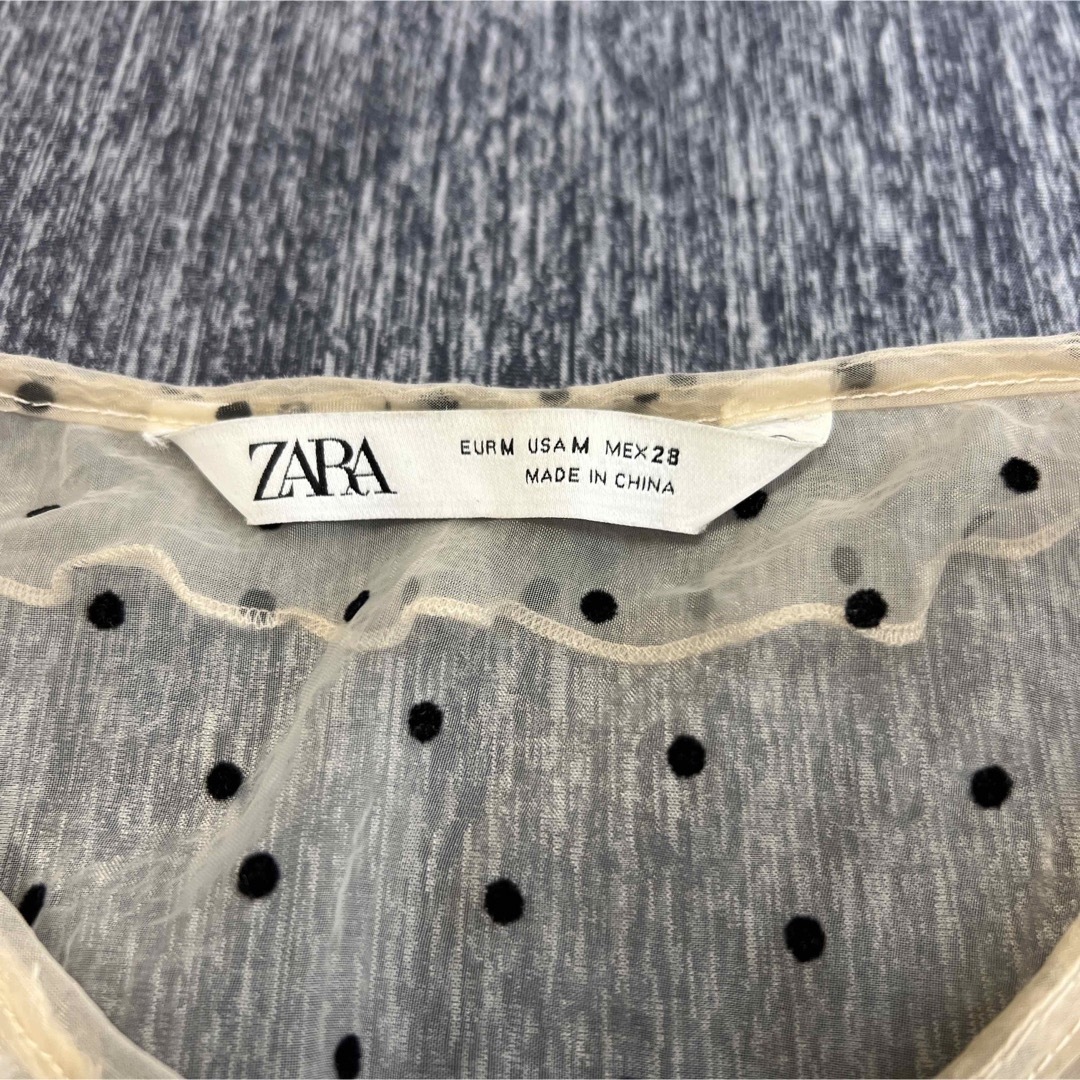 ZARA(ザラ)のドット柄　シースルー　ブラウス　カットソー レディースのトップス(シャツ/ブラウス(半袖/袖なし))の商品写真