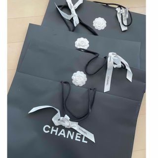 シャネル(CHANEL)の14枚セット　CHANEL 旧モデル　撥水加工　ショッパー　ショップ 袋　レア(その他)