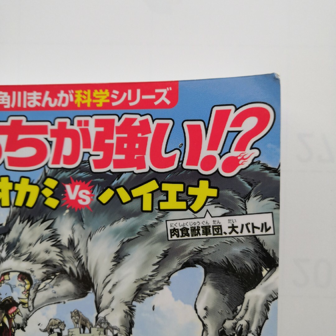 どっちが強い!?   オオカミVS ハイエナ エンタメ/ホビーの本(絵本/児童書)の商品写真