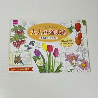 ダイソー(DAISO)の大人の塗り絵　ダイソー　DAISO(アート/エンタメ)