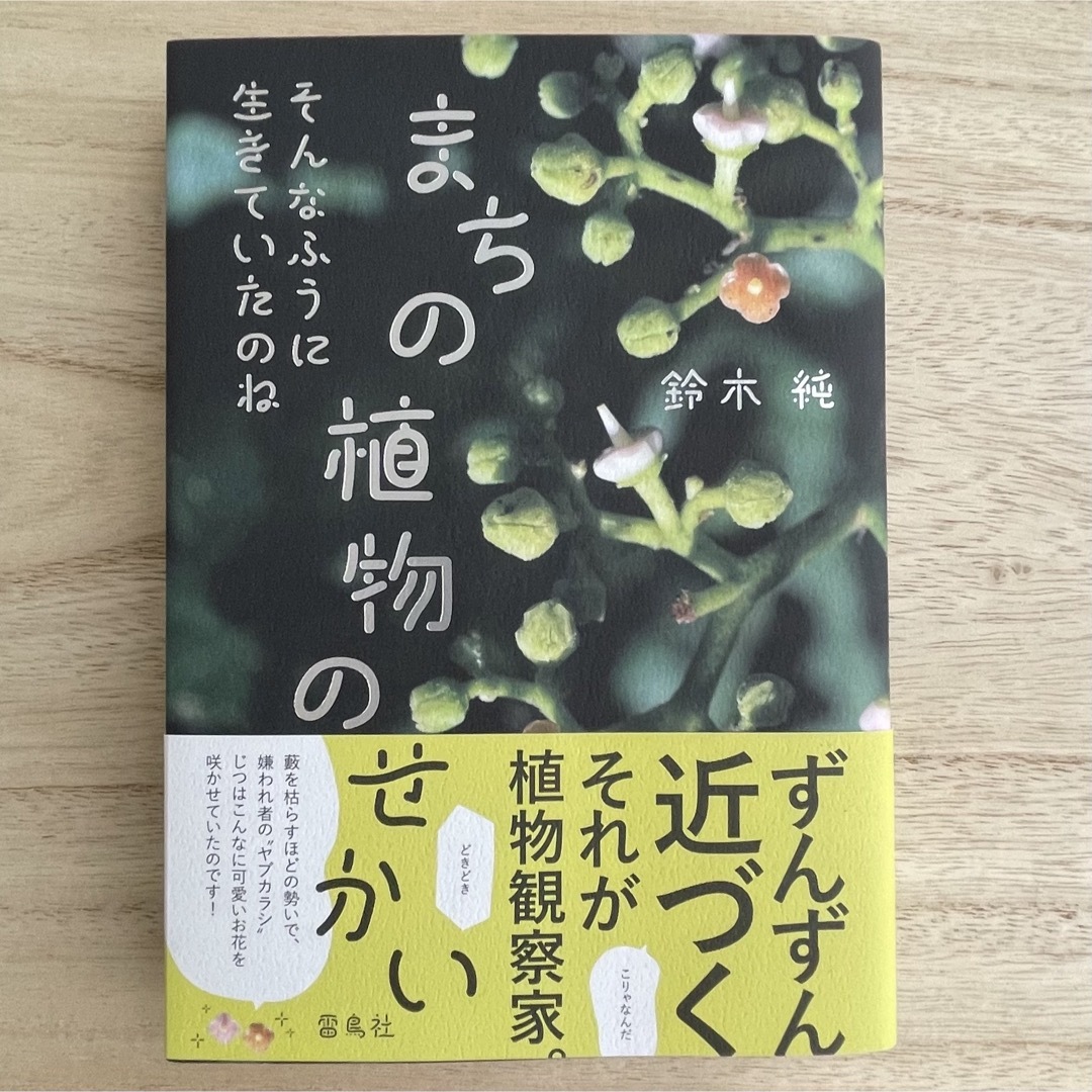 まちの植物のせかい そんなふうに生きていたのね エンタメ/ホビーの本(ノンフィクション/教養)の商品写真