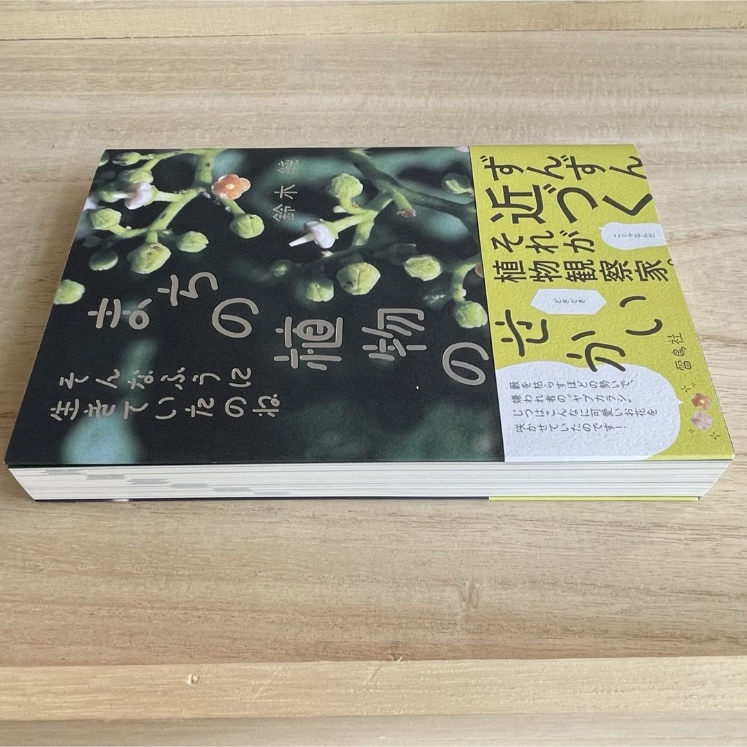 まちの植物のせかい そんなふうに生きていたのね エンタメ/ホビーの本(ノンフィクション/教養)の商品写真