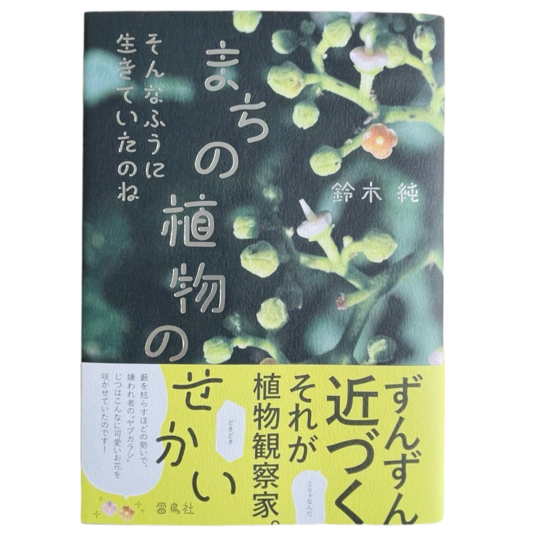 まちの植物のせかい そんなふうに生きていたのね エンタメ/ホビーの本(ノンフィクション/教養)の商品写真