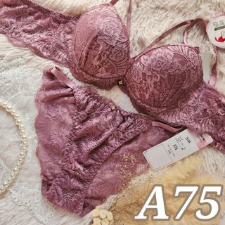 №466【A75】グラマーレーシィコード育乳脇高ブラジャー&バック透けショーツ(ブラ&ショーツセット)